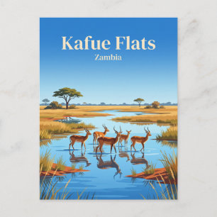 Kafue Flats, Blue Lagoon National Park Zambia Briefkaart