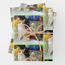 Kagan's kerstcadeautjes - Kat / Keuten