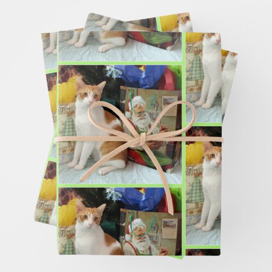 Kagan's kerstcadeautjes - Kat / Keuten Inpakpapier Vel (In situ)