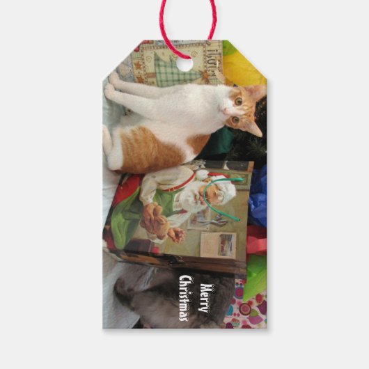 Kagan's kerstcadeautjes - Labels met katten en keu Cadeaulabel (Voorkant)