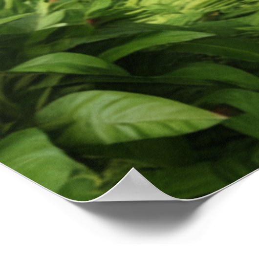 Kagu FM Radio Poster (Hoek)