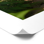 Kagu Kobudo Poster (Hoek)