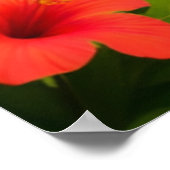 Kagu Mamoru Kun Poster (Hoek)