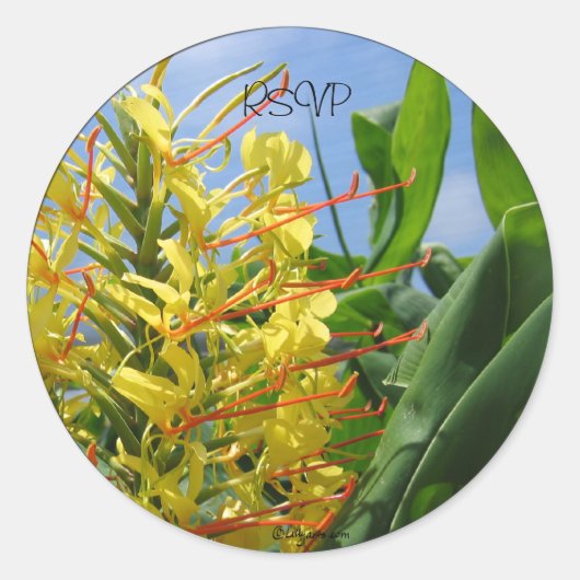 Kahili Ginger Wedding Envelope zegels/Stickers Ronde Sticker (Voorkant)