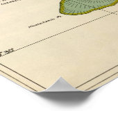 Kahoolawe, Hawaii Poster (Hoek)