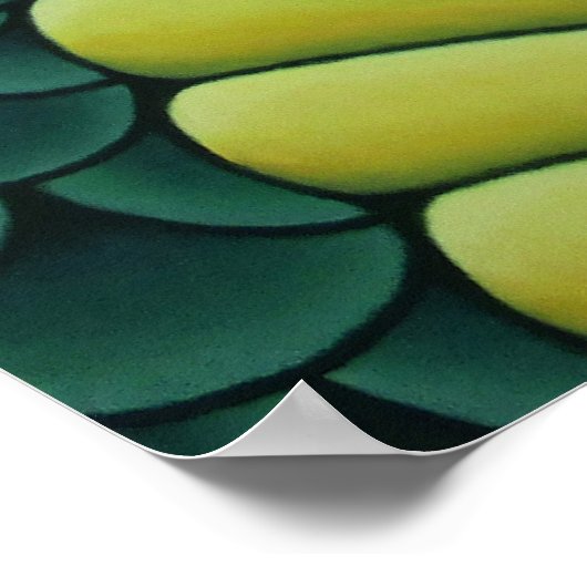 Kai Guardian Dragon-Poster Poster (Hoek)