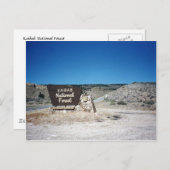 Kaibab National Forest Sign Briefkaart (Voorkant / Achterkant)