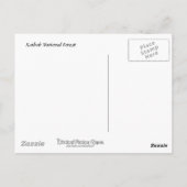 Kaibab National Forest Sign Briefkaart (Achterkant)