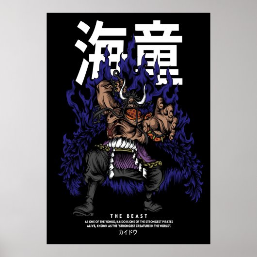 Kaido Poster (Voorkant)