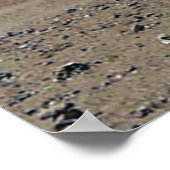 Kailash First Uitzicht Prayerflags in Foreground Poster (Hoek)