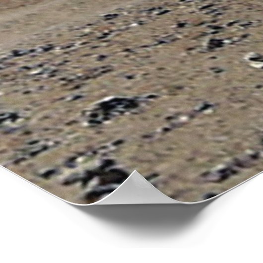 Kailash First Uitzicht Prayerflags in Foreground Poster (Hoek)