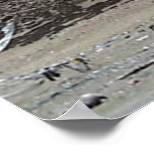 Kailash Freedom Pole Poster (Hoek)