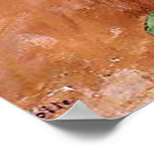 Kaillebotte Nasturces Poster (Hoek)