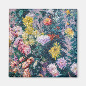 Kaillebotte - Witte en Gele Chrysanthema Magneet (Voorkant)