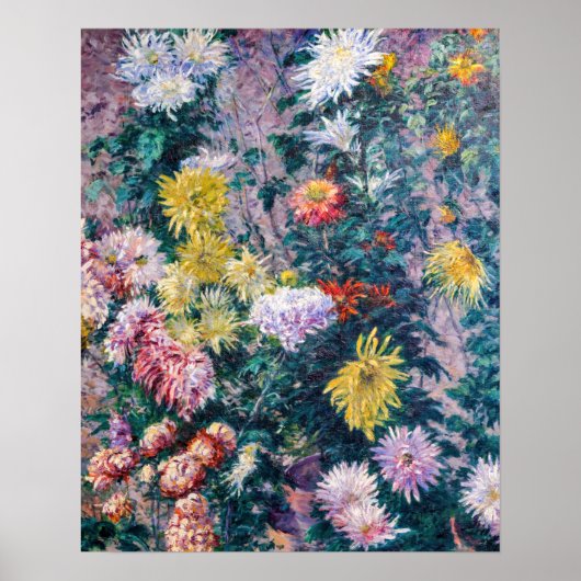 Kaillebotte - Witte en Gele Chrysanthema Poster (Voorkant)