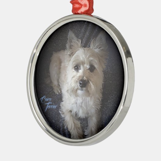 Kairntensity Premium Round Ornament (Links)