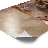 Kaiser Foto Afdruk (Hoek)