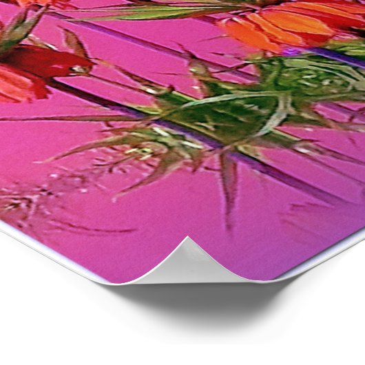 Kaiserkrone/Fritillaria imperialis Poster (Hoek)