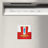 Kaiserslautern Magneet (Insitu (Vaatwasser))