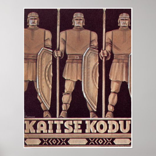 Kaitse Kodu Poster (Voorkant)