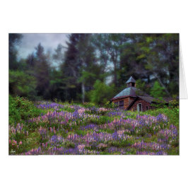 Kajuit in de Lupine Kaart