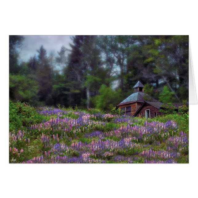 Kajuit in de Lupine Kaart (Voorkant Horizontaal)