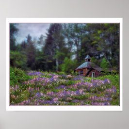 Kajuit in het Lupine Poster