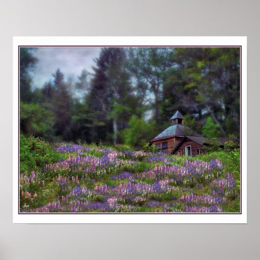 Kajuit in het Lupine Poster (Voorkant)