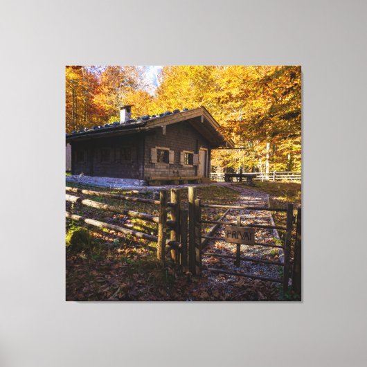 Kajuit voor stamhout in de Bossen Canvas Afdruk (Voorkant)