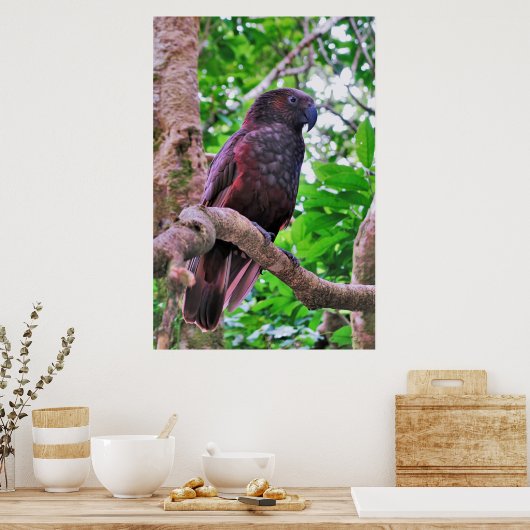 Kaka Poster (Keuken)