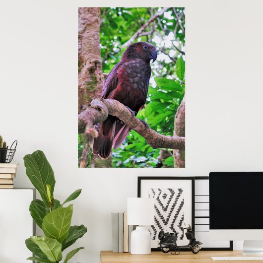 Kaka Poster (Thuiskantoor)