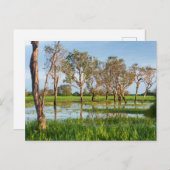 Kakadu billabong Northern Territory Australië Briefkaart (Voorkant / Achterkant)