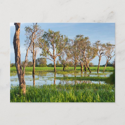 Kakadu billabong Northern Territory Australië Briefkaart (Voorkant)