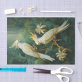 Kakadu liefhebbers, witte veren elegant tissuepapier (Craft)