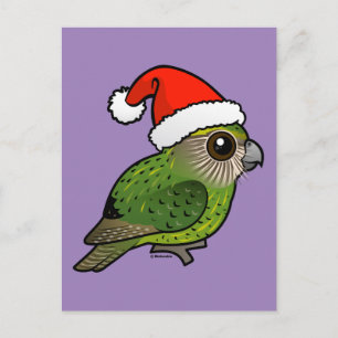 Kakapo Claus Briefkaart