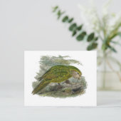 Kakapo Green Owl Parrot, zeldzame vogel illustrati Briefkaart (Staand voorkant)