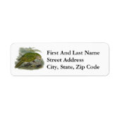 Kakapo Green Owl Parrot, zeldzame vogel illustrati Etiket (Voorkant)