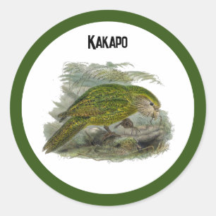 Kakapo Green Owl Parrot, zeldzame vogel illustrati Ronde Sticker