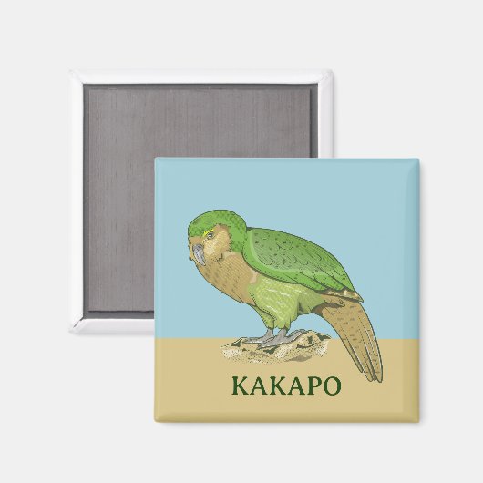 Kakapo illustratie magneet (Voorkant / Achterkant)
