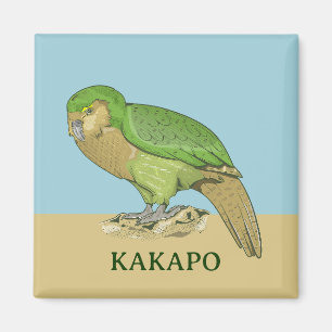 Kakapo illustratie magneet