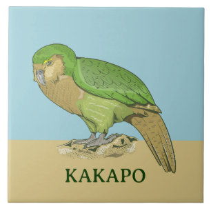 Kakapo illustratie tegeltje