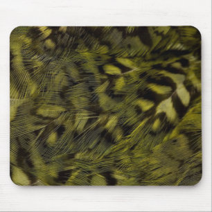 kakapo plumage muismat