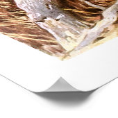 Kakapo Poster (Hoek)