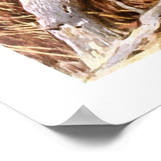 Kakapo Poster (Hoek)