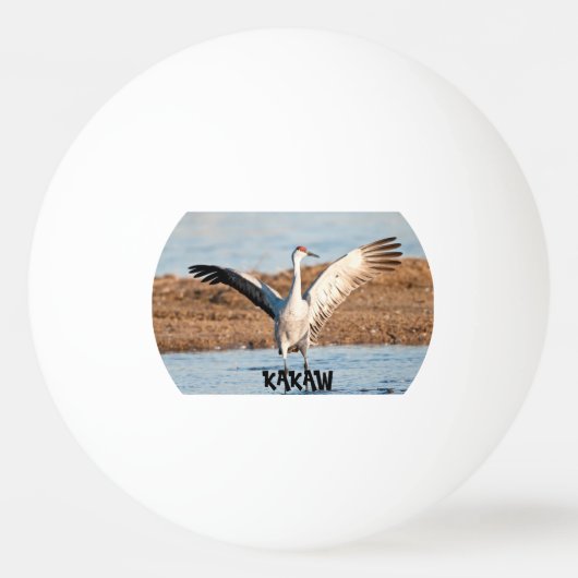 KAKAW Ping Pong Bal Pingpongbal (Voorkant)