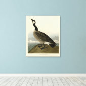 Kakelgans van Audubon's Birds of America Canvas Afdruk (Insitu (Houten vloer))