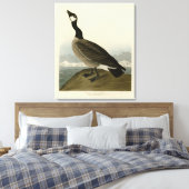 Kakelgans van Audubon's Birds of America Canvas Afdruk (Insitu (Slaapkamer))