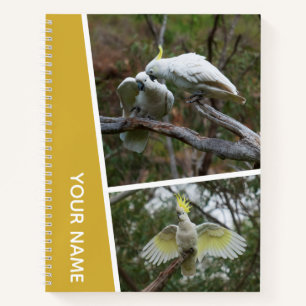 Kaketoe Australië Parrot Vogel Foto Collage Goud Notitieboek