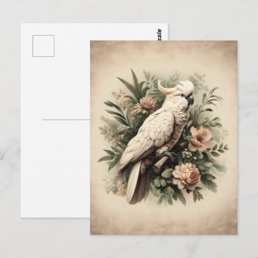 kaketoe botanisch schilderij briefkaart (Voorkant / Achterkant)