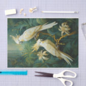 Kaketoe liefhebbers, witte veren elegantie tissuepapier (Craft)